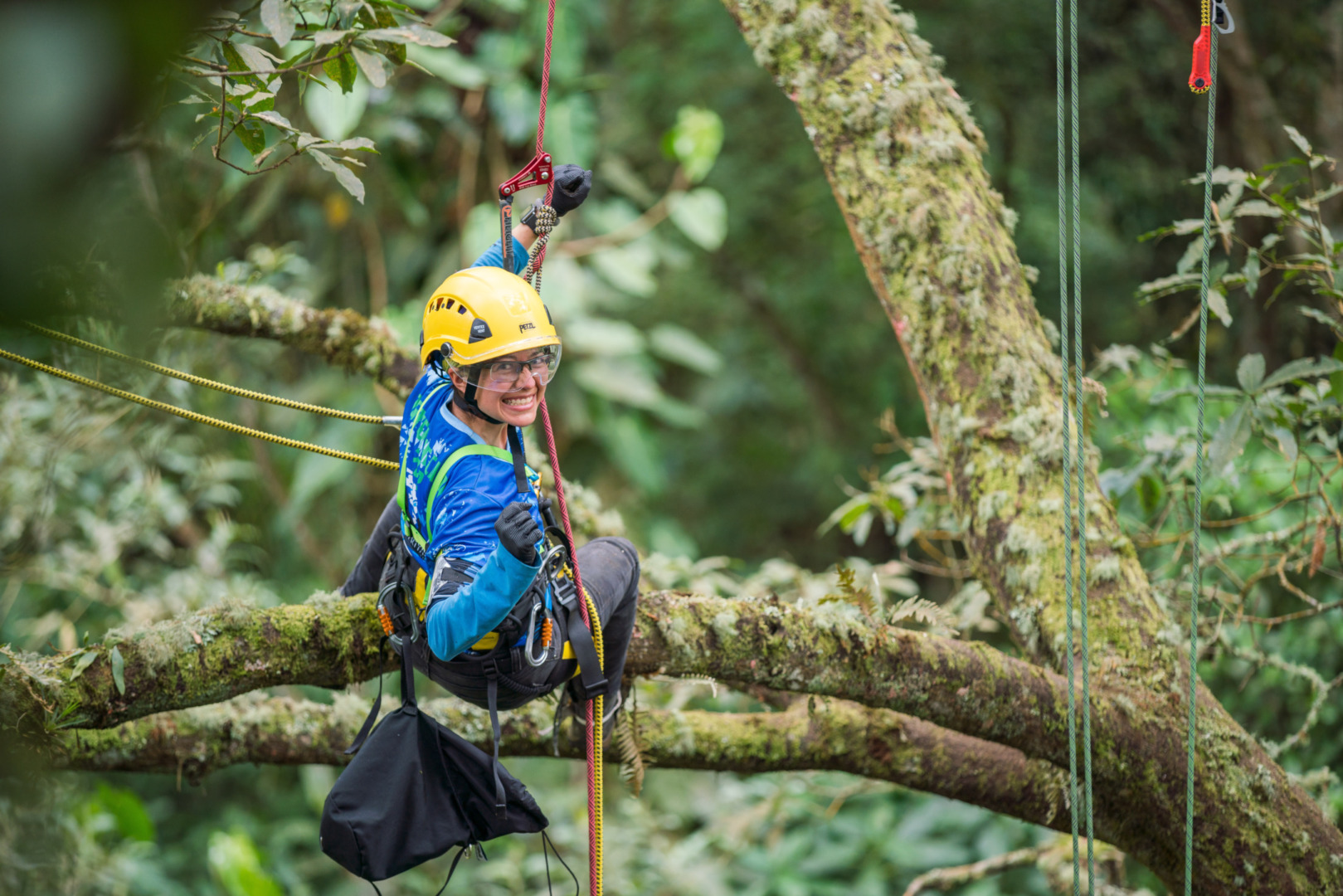Person with helmet climbing a tree using ropes, surrounded by lush greenery.