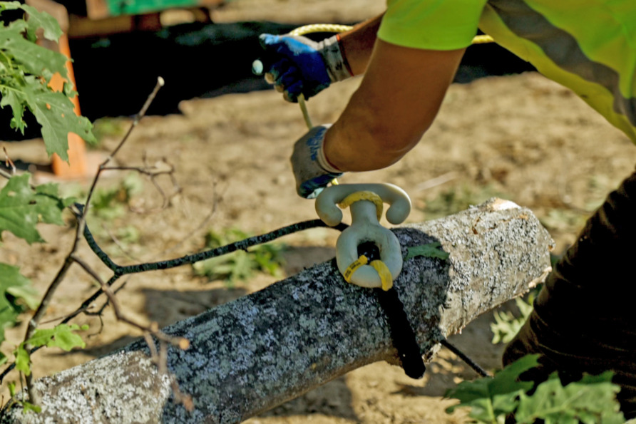 Worker in safety gear operating a chainsaw to cut a fallen tree, surrounded by forest and branches.