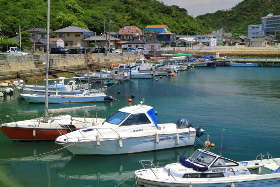 Boats moored in a peaceful harbor with buildings and lush green hills in the background on a sunny day.