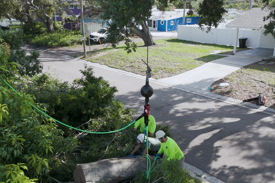 Workers in bright clothing use heavy machinery to lift a fallen tree trunk on a suburban street.