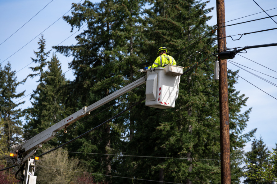 Utility worker in a bucket lift repairing power lines near tall evergreen trees.