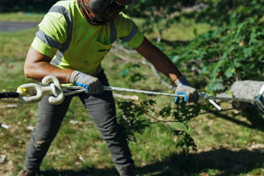 Worker in safety gear pulling a rope attached to a tree branch in a wooded area.