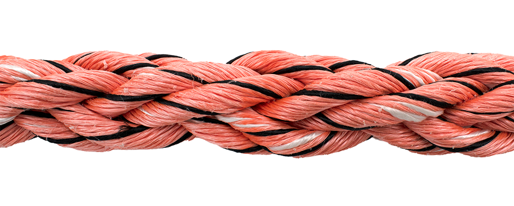 Shark Byte 8 Yale Cordage